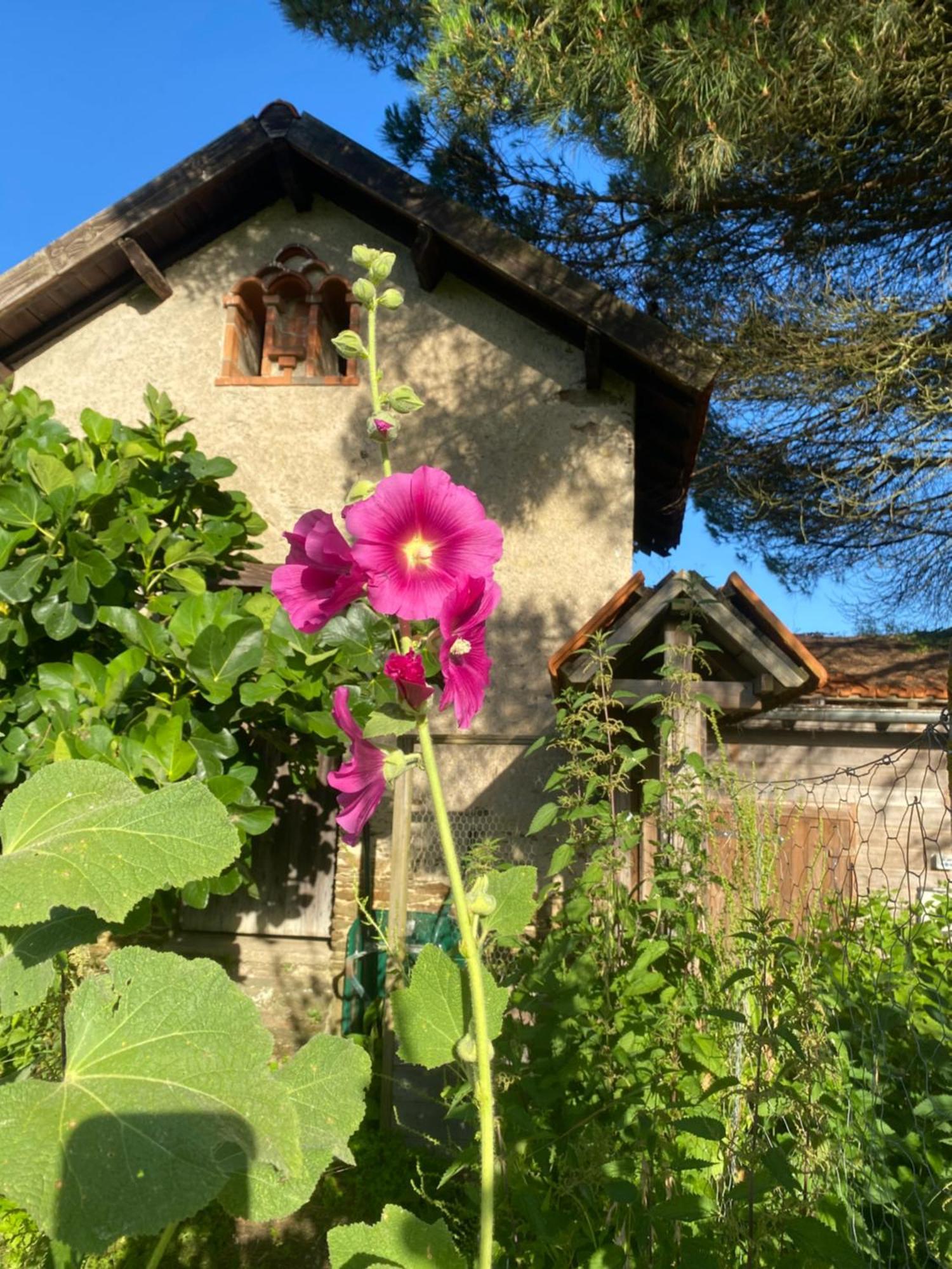 Ch1- Manoir Du Moulinier - Campagne - Calme - Petit-Dej Inclus - Table D'Hote Sur Reservation - Parking Gratuit La Limouziniere  Buitenkant foto
